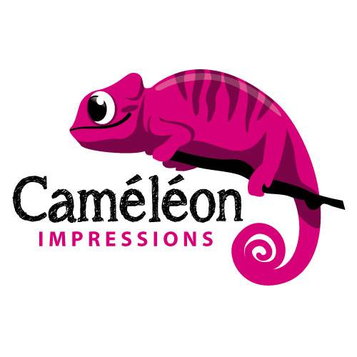 Atelier de reprographie impression à Cabestany proche perpignan